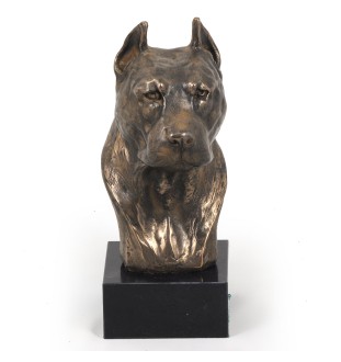 Amerykański Staffordshire terrier głowa na kamieniu Art-Dog